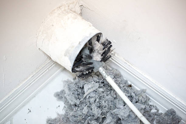 Best Air Vent Cleaning Services  in Stanley, ND